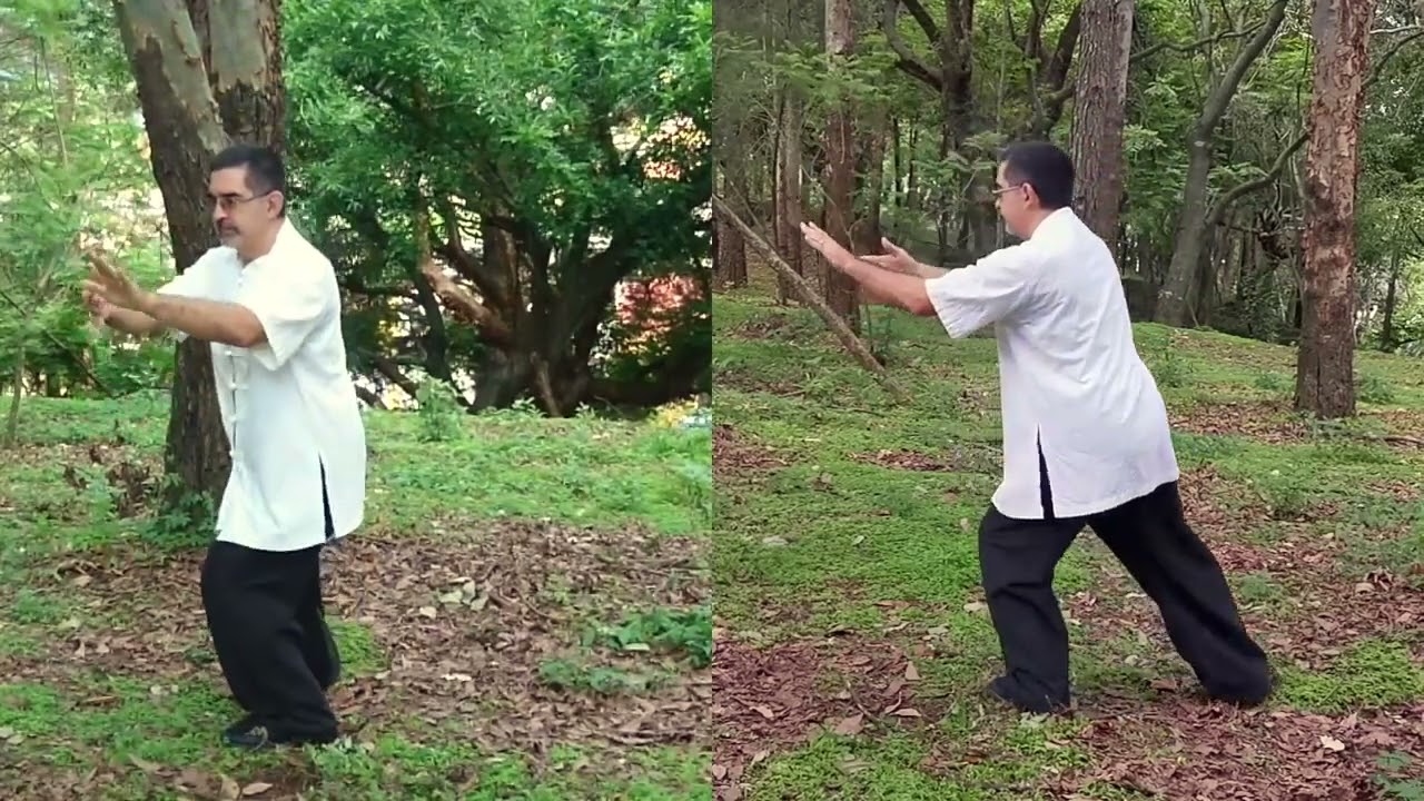 movimientos de tai chi paso a paso