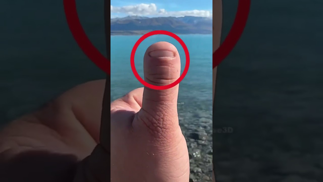 el pulgar es a los otros dedos de la mano