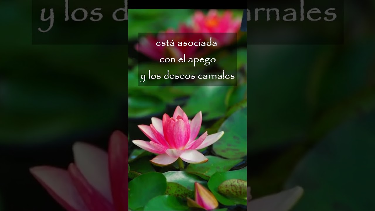 flor de loto en el muslo
