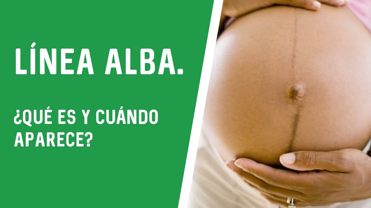 porque tenemos una linea en el vientre