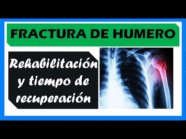 tiempo de curar fractura de escapula