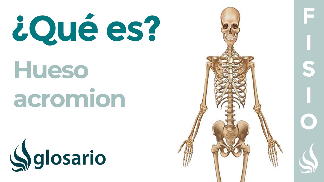 acromion tipo 2 de bigliani tratamiento