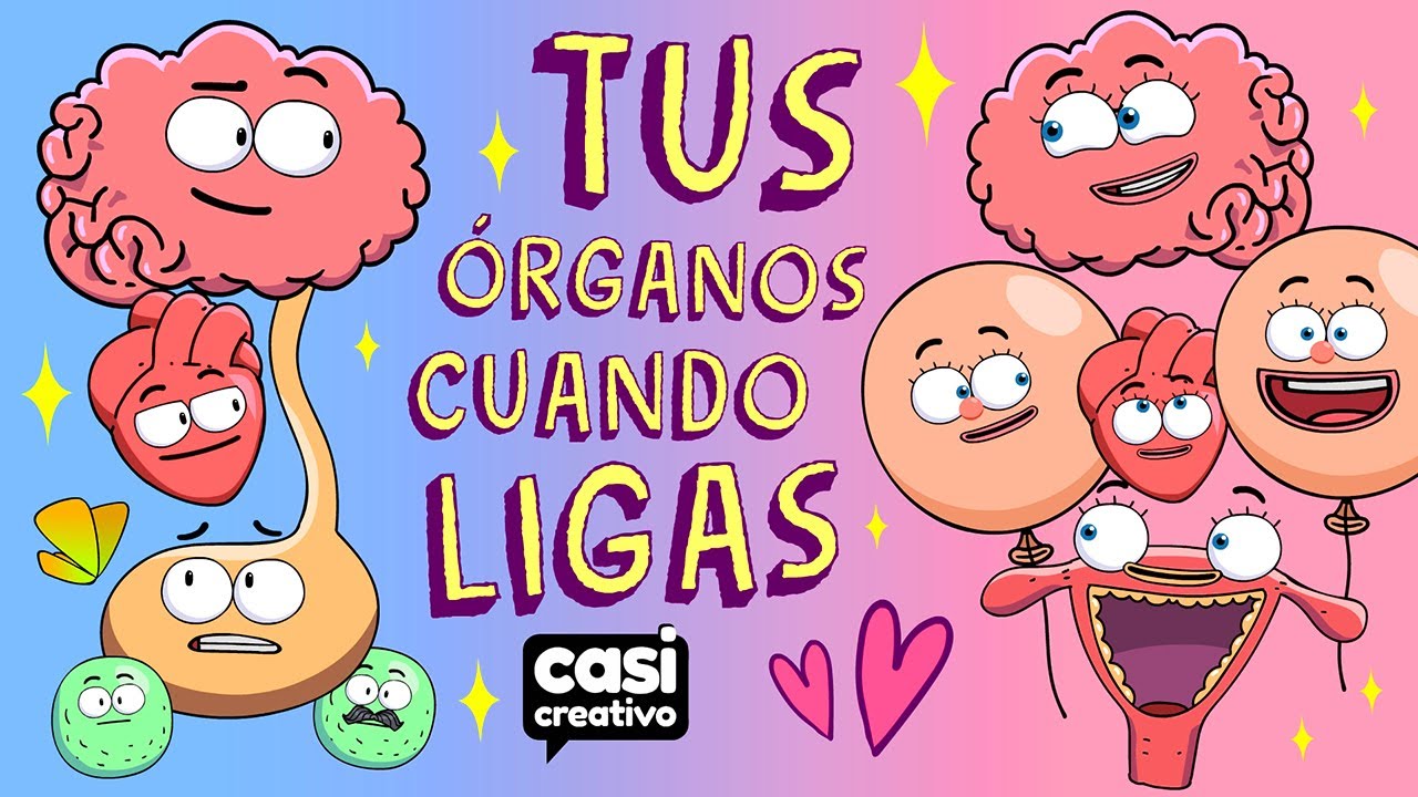 chistes de organos del cuerpo humano