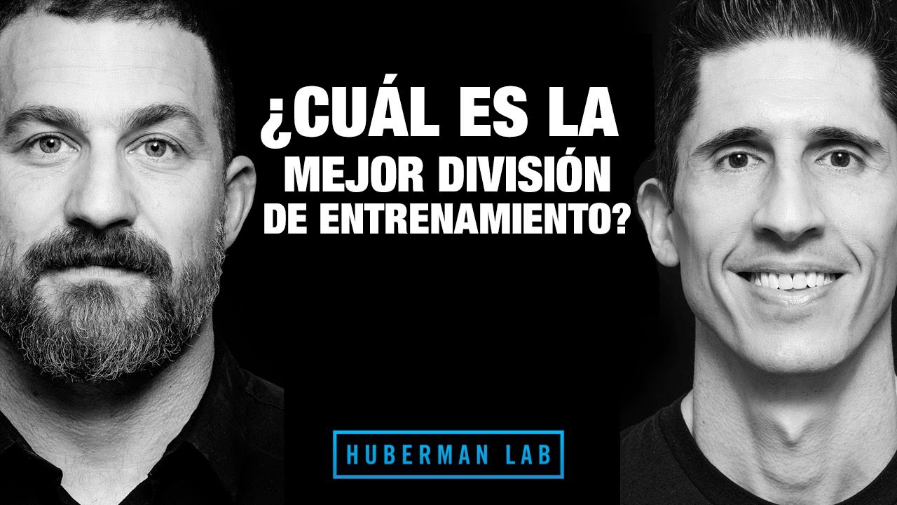 como dividir los entrenamientos en el gym