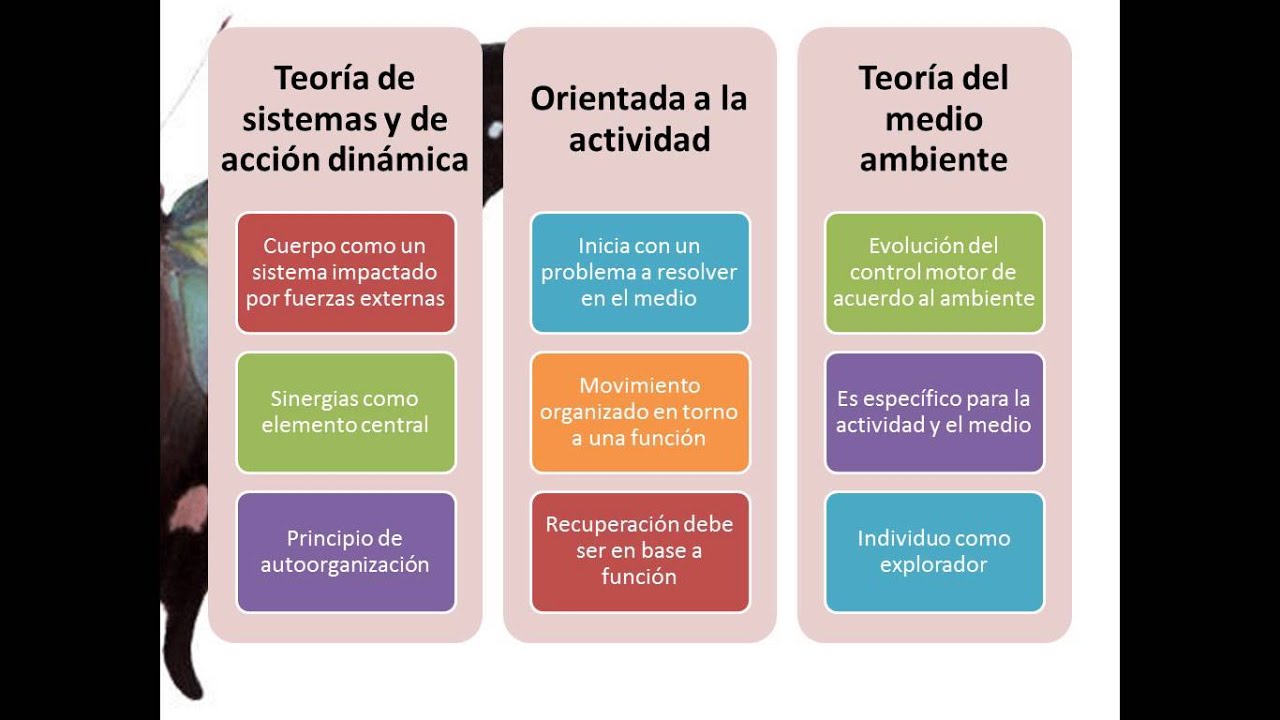 modelo control motor en terapia ocupacional