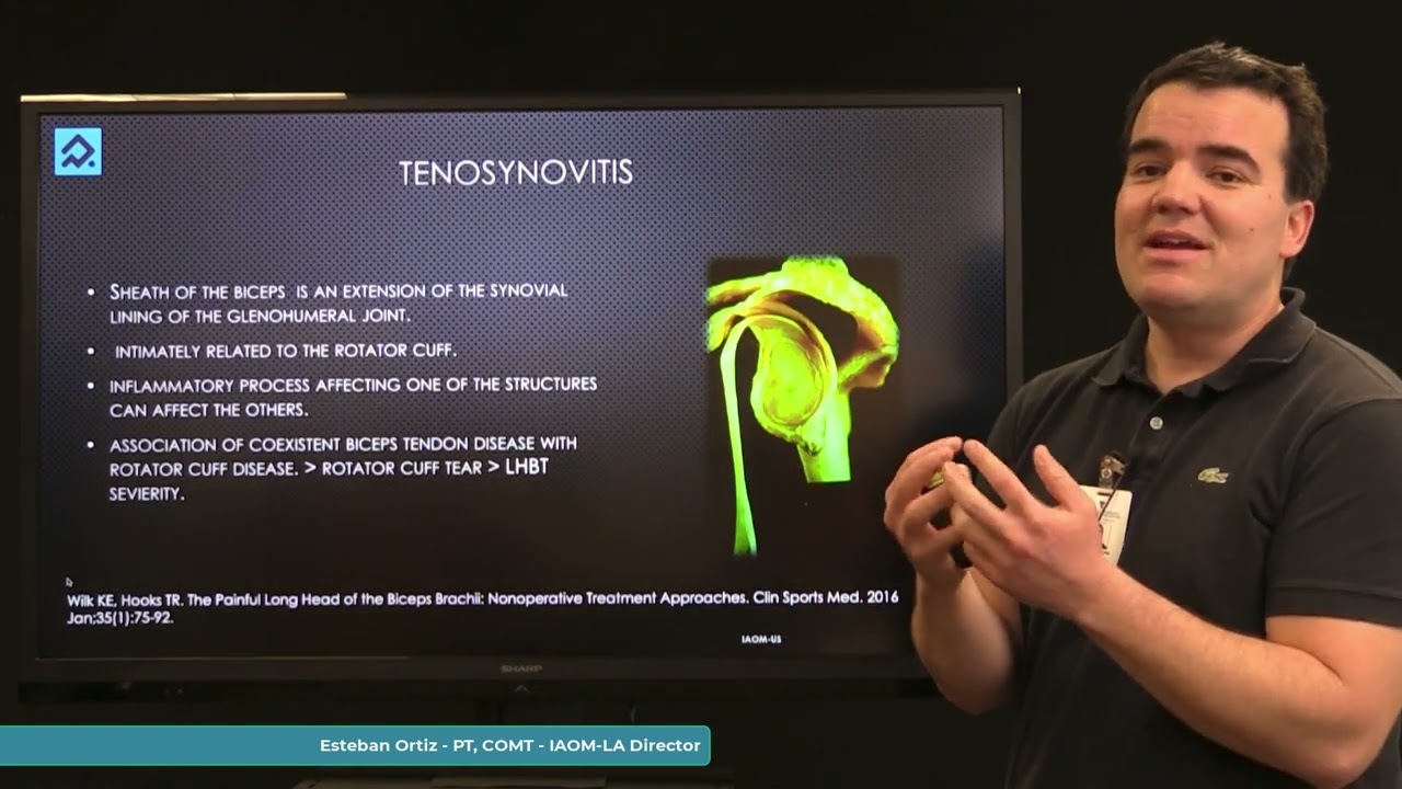 tendon de la cabeza larga del biceps braquial