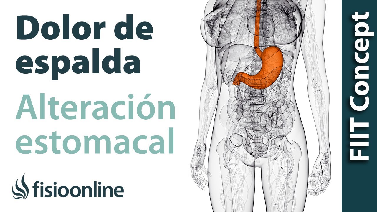ulcera de estomago y dolor de espalda