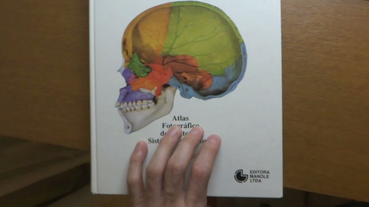 atlas de anatomia humana rohen yokochi