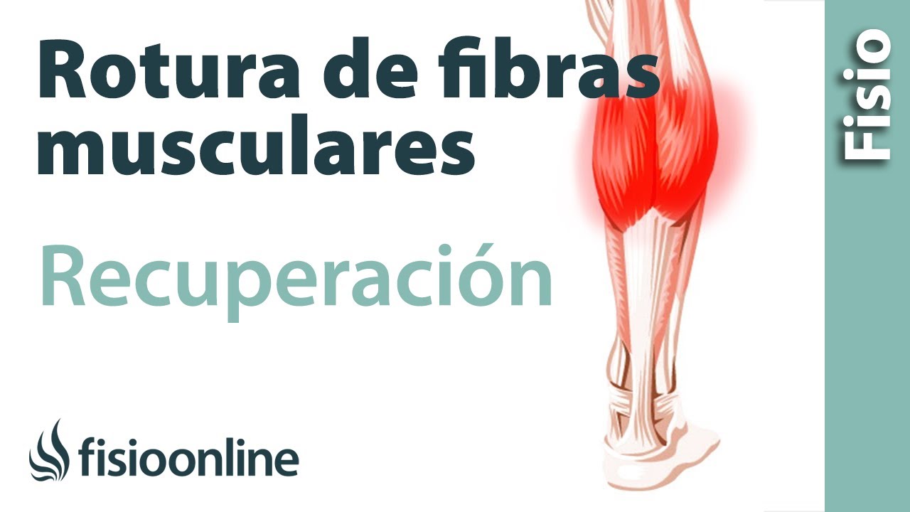 como curar una rotura de fibras