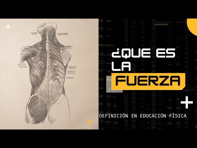 como se puede medir la fuerza en educacion fisica