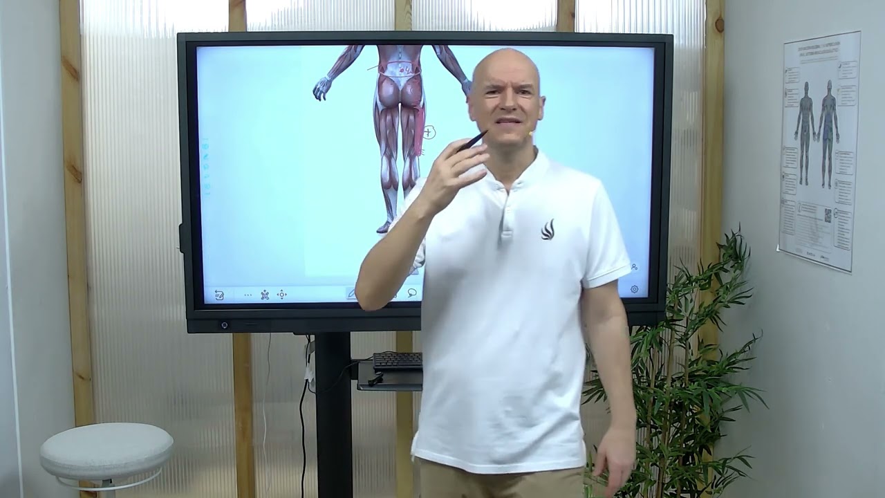 lesion biceps femoral tiempo de baja