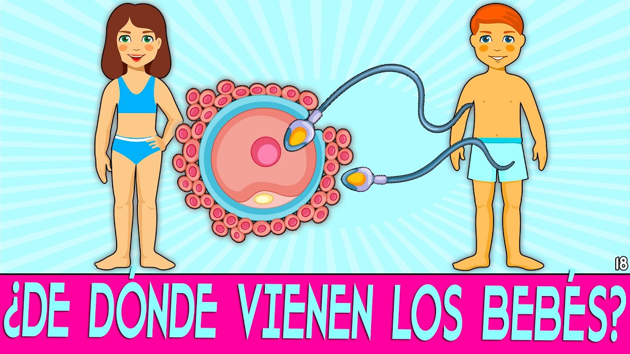 por donde se hacen los bebes