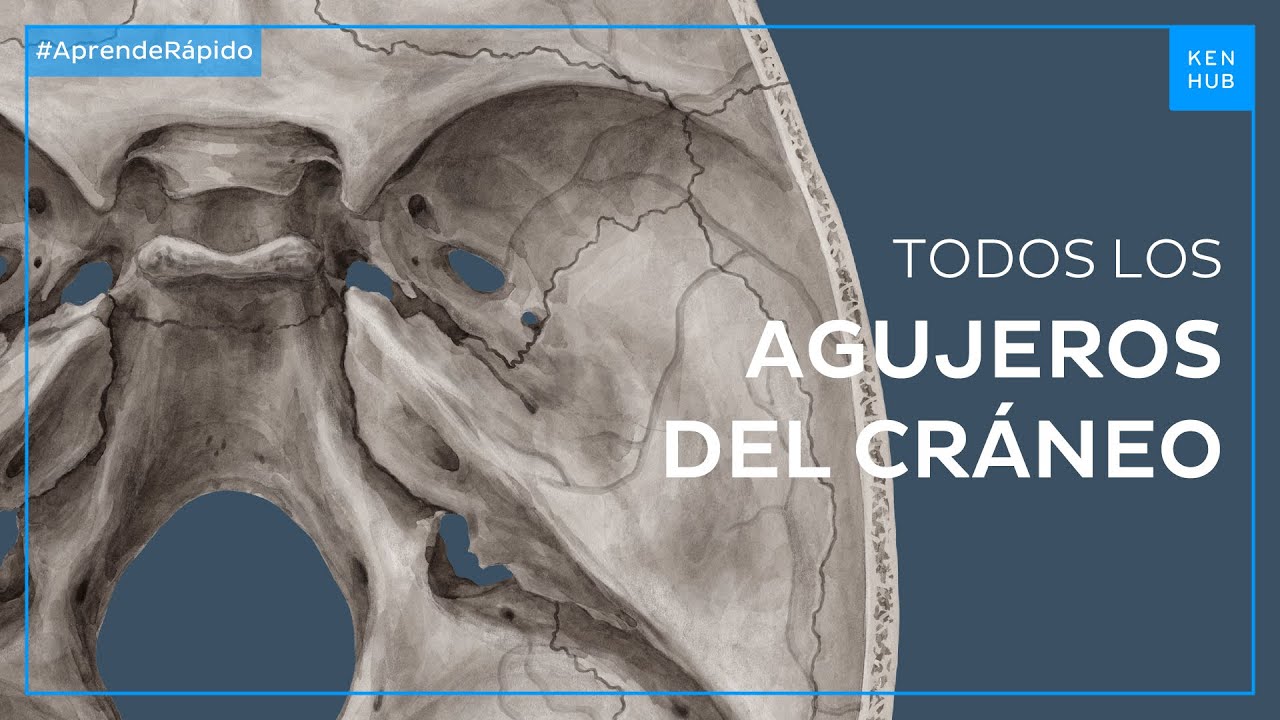 tengo un hueco en el cráneo