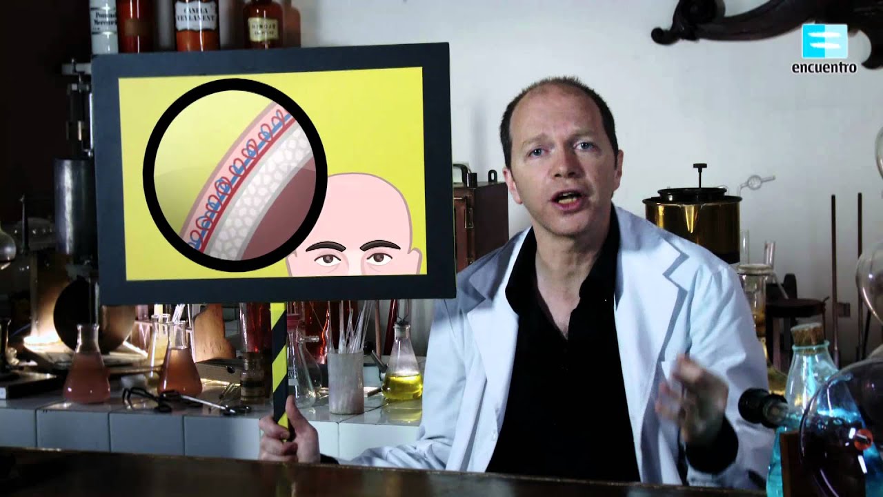 chichón en la cabeza que no desaparece