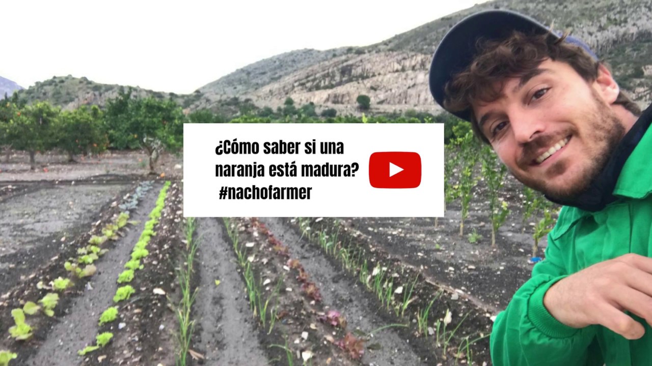 como saber si una naranja esta mala