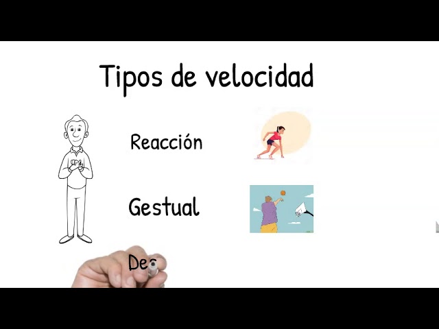como se clasifica la velocidad en educacion fisica