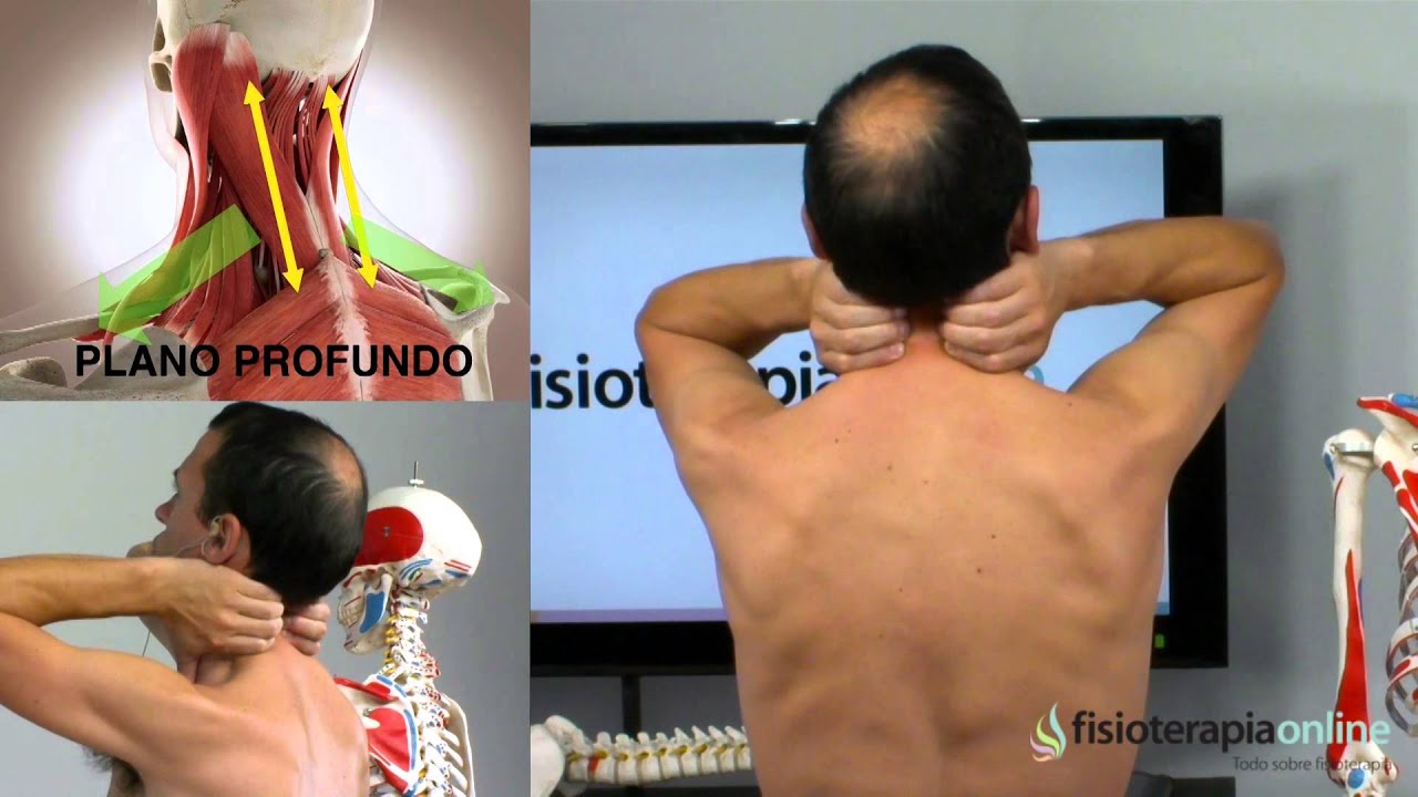 dolor del cuello hacia el hombro