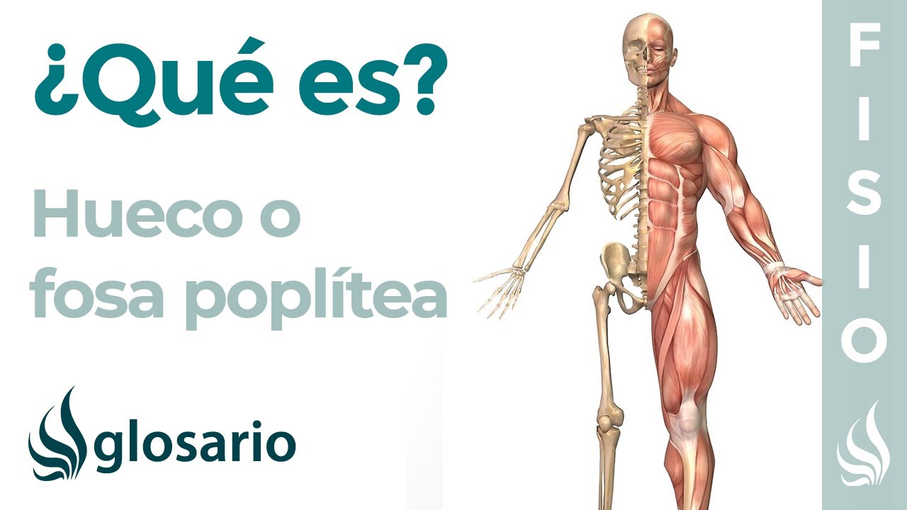 donde se encuentra el hueco popliteo