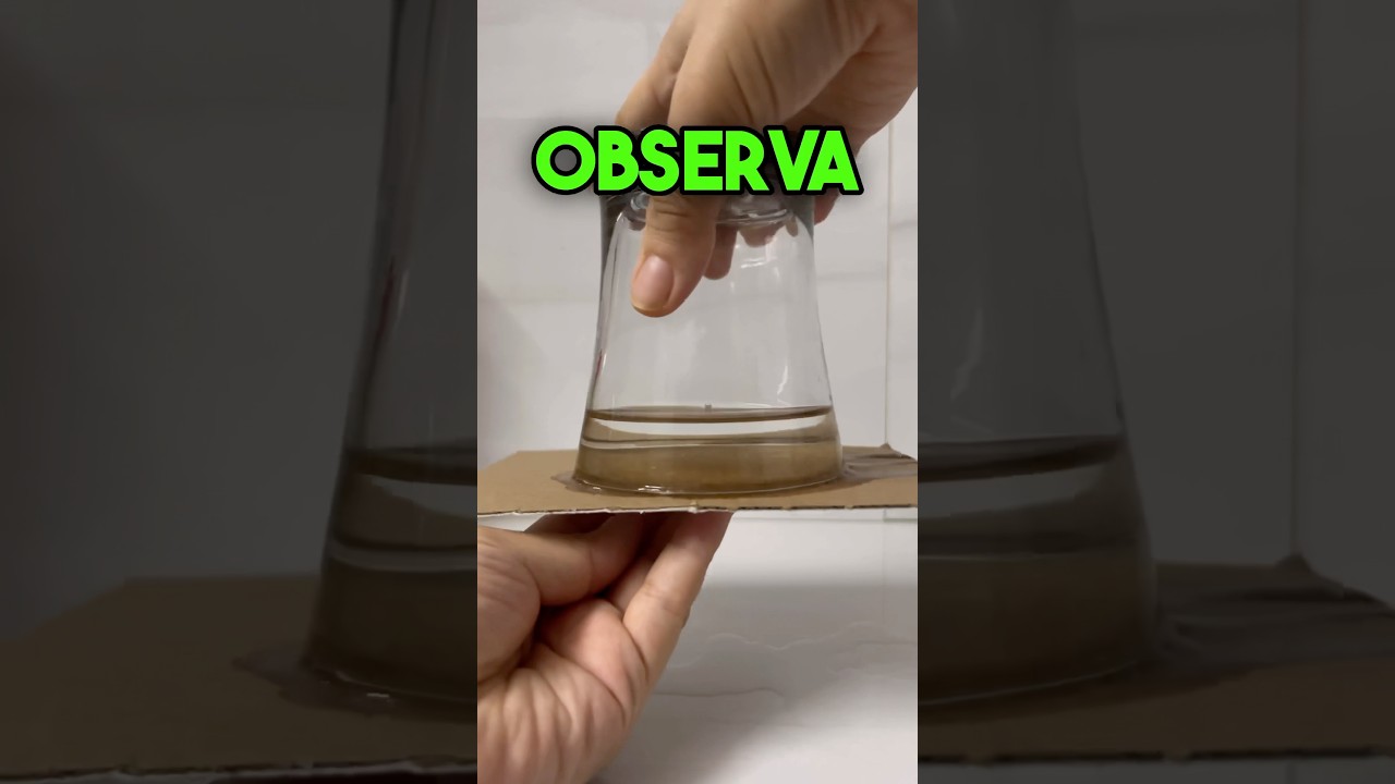 efecto de la gravedad en la presion arterial