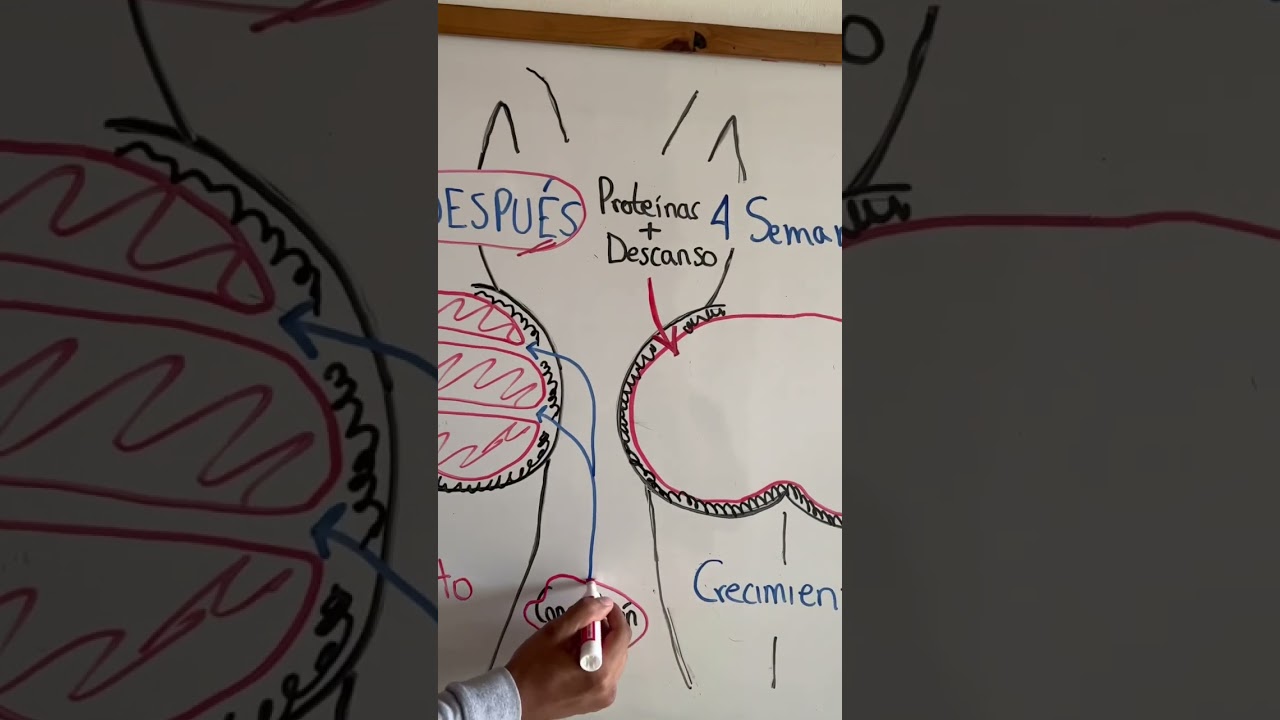 el voleibol hace crecer los gluteos