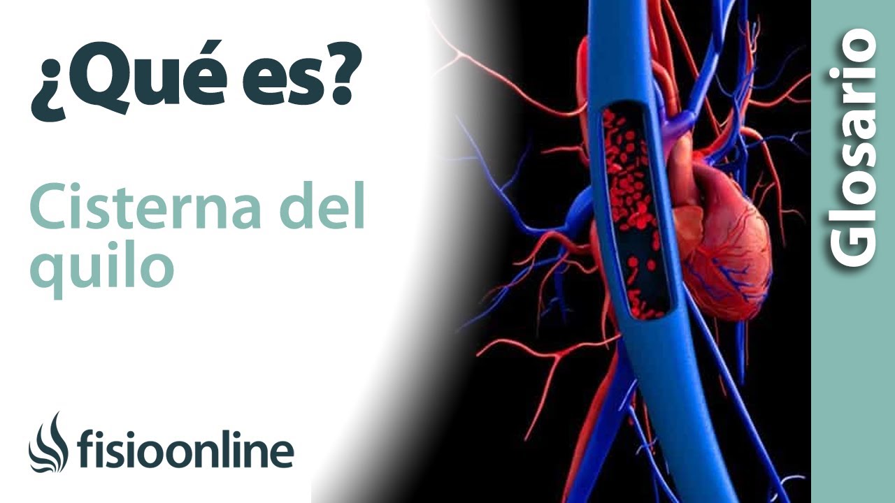 en donde se forma el quilo