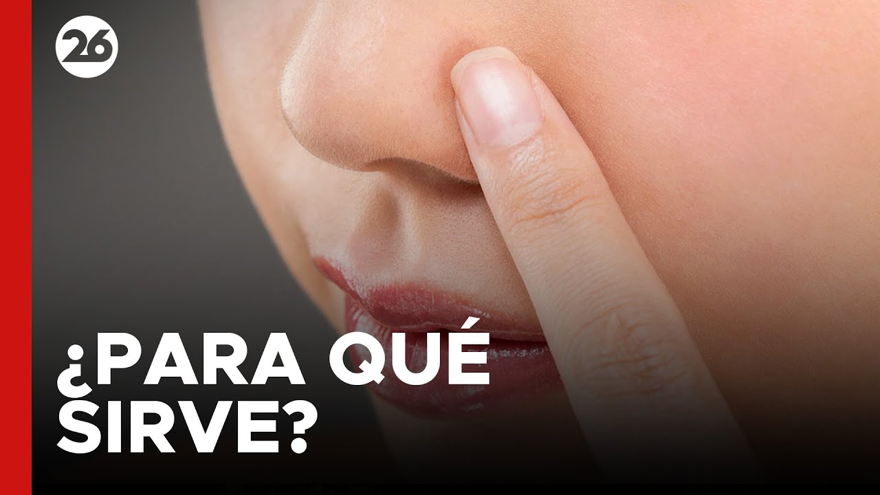para que nos sirve la nariz