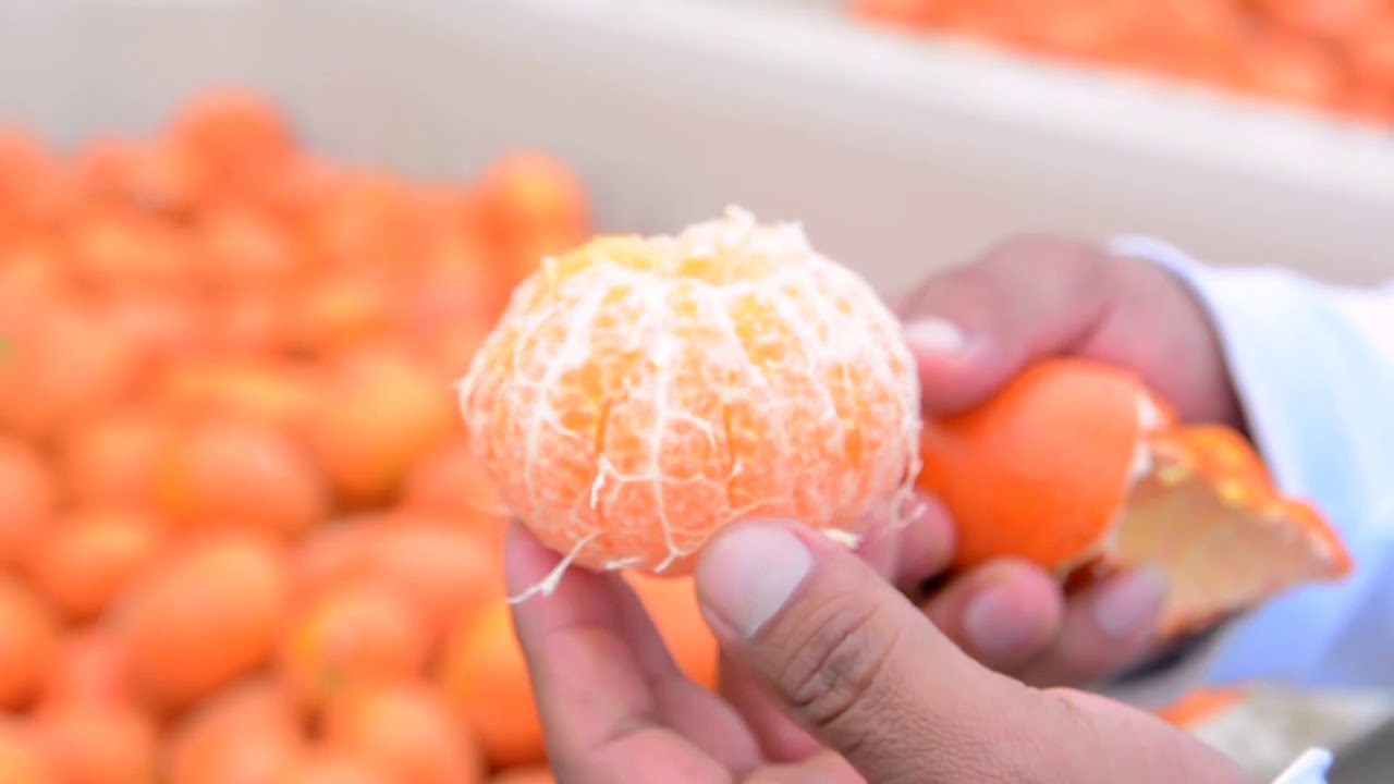 propiedades de la mandarina para adelgazar