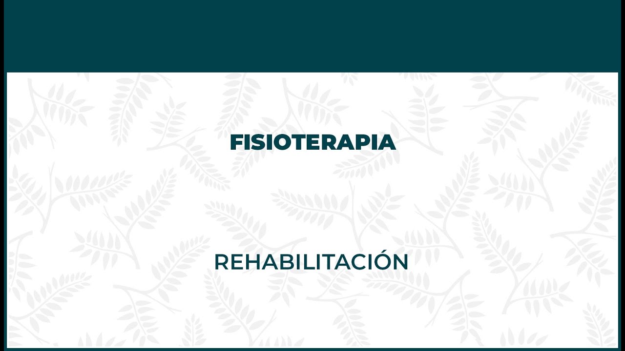 centros de fisioterapia en palma de mallorca
