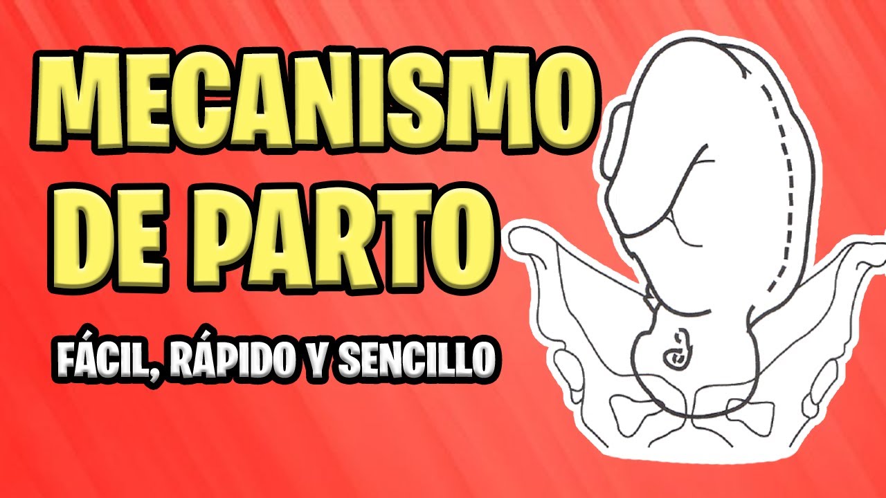 contracciones de parto y movimientos fetales