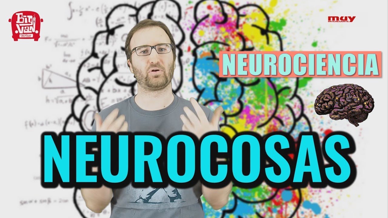 cuantas celulas hay en el cerebro
