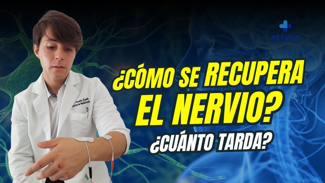 cuanto tarda un nervio en recuperarse