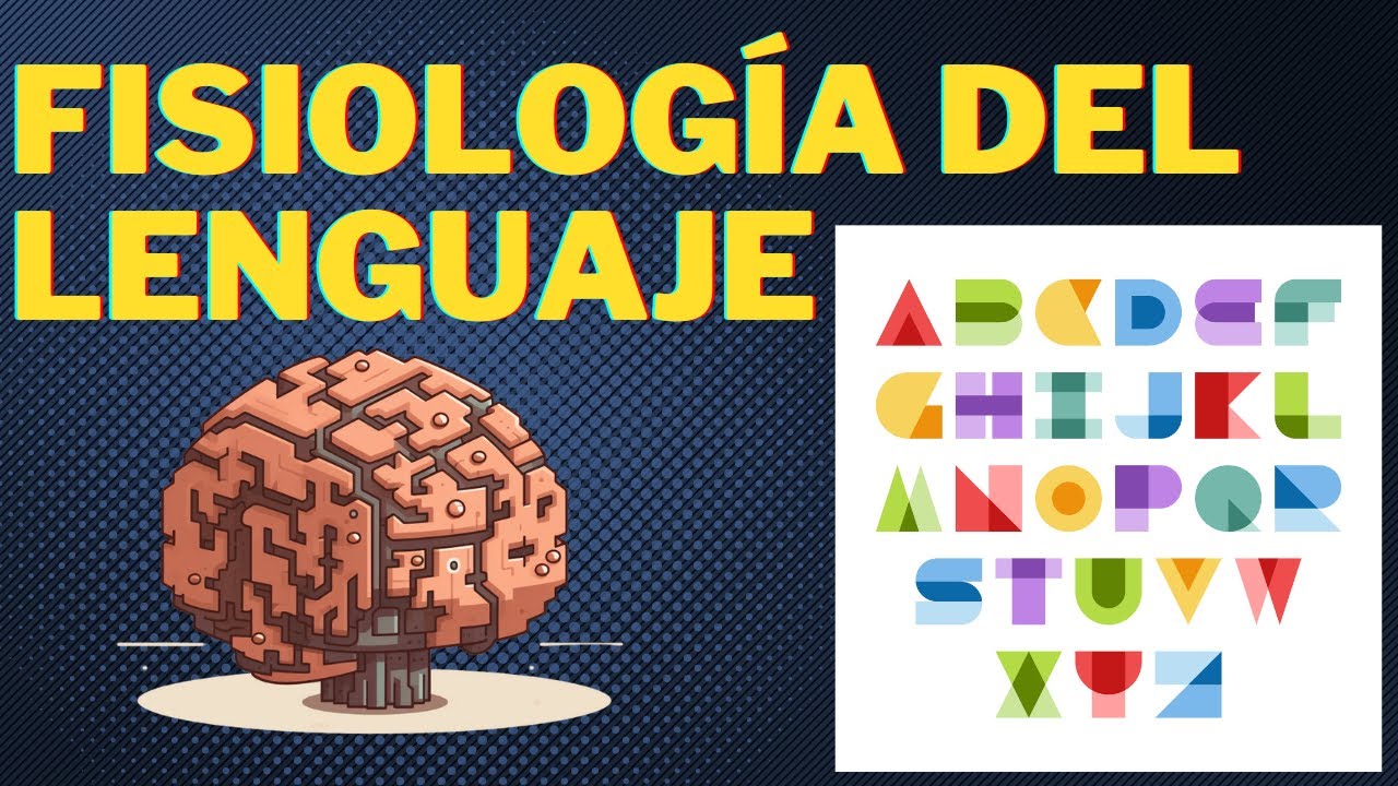 los hemisferios cerebrales y el lenguaje