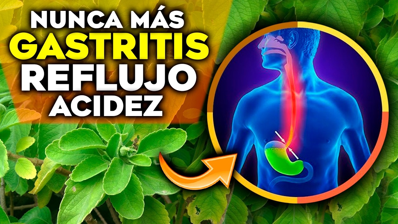 plantas para el ardor de estomago