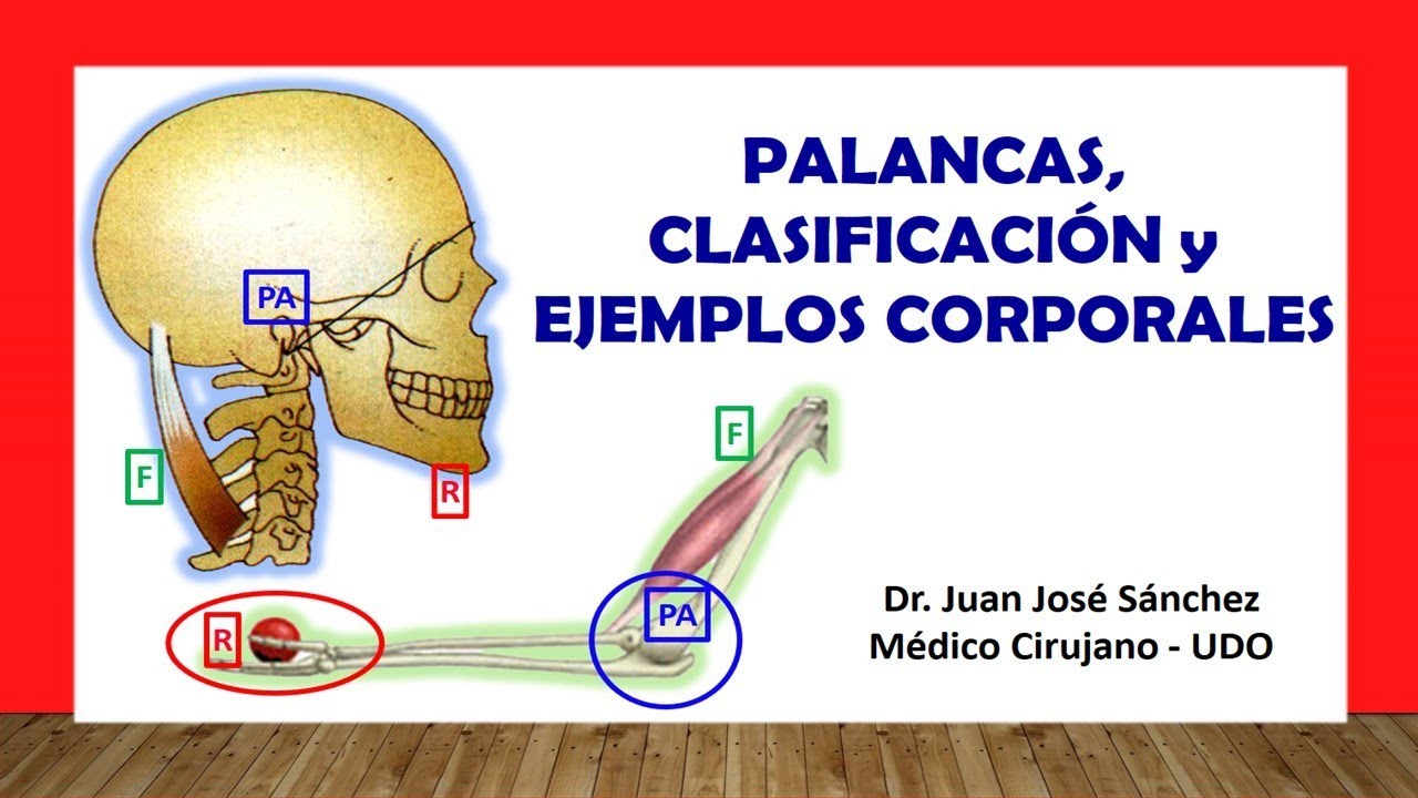 puntos de apoyo del cuerpo humano
