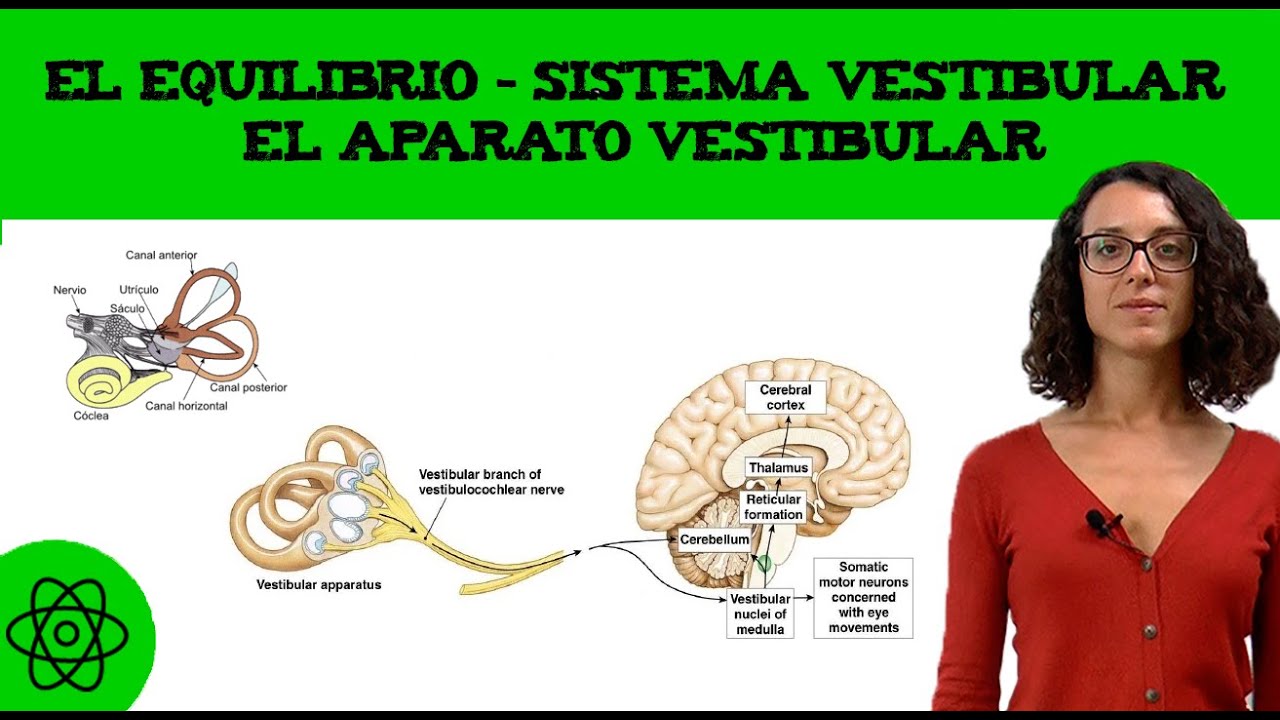 que es el equilibrio del cuerpo