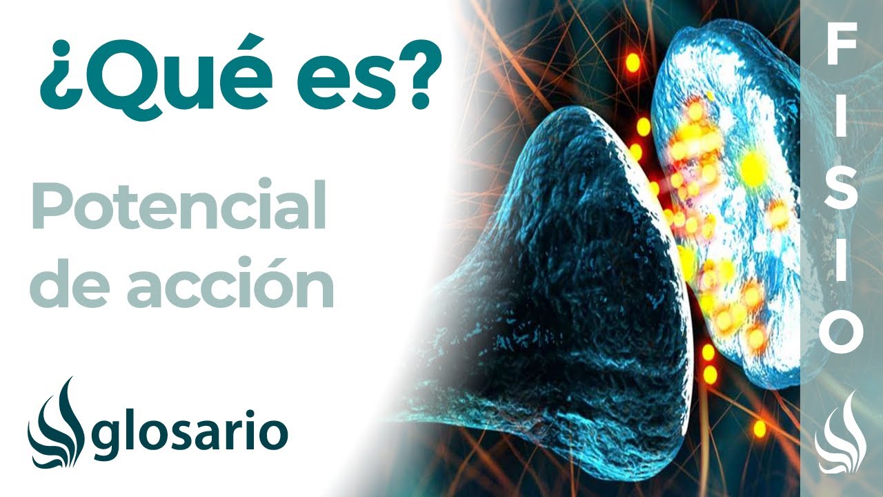 qué es el potencial de membrana