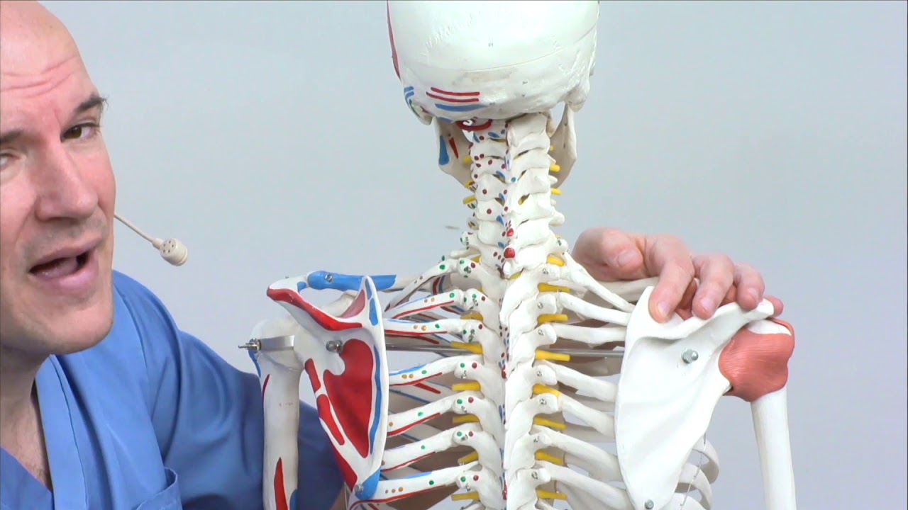 síndrome tensional de localización occipital suboccipital y cervical