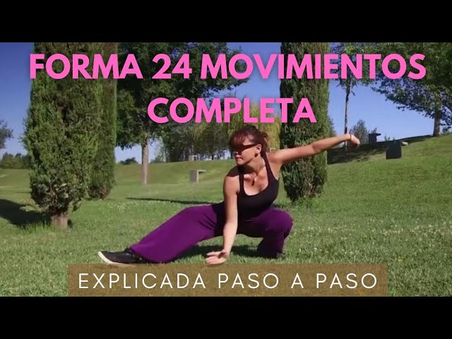 tai chi chuan 24 movimientos paso a paso