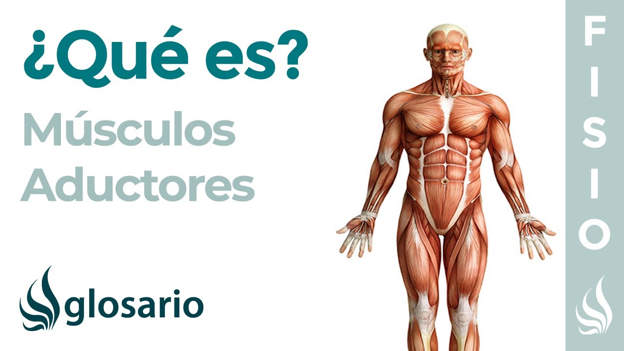 abducción de cadera para que sirve