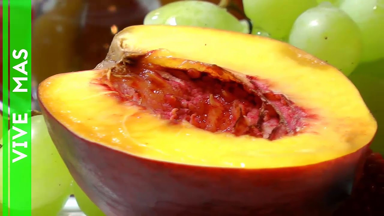 alimentos para regenerar cartilago de rodilla