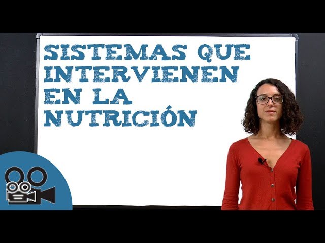cuales son los 4 aparatos que intervienen en la nutricion