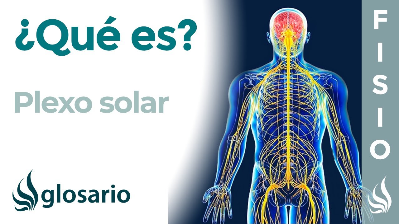 donde queda el plexo solar en el cuerpo humano
