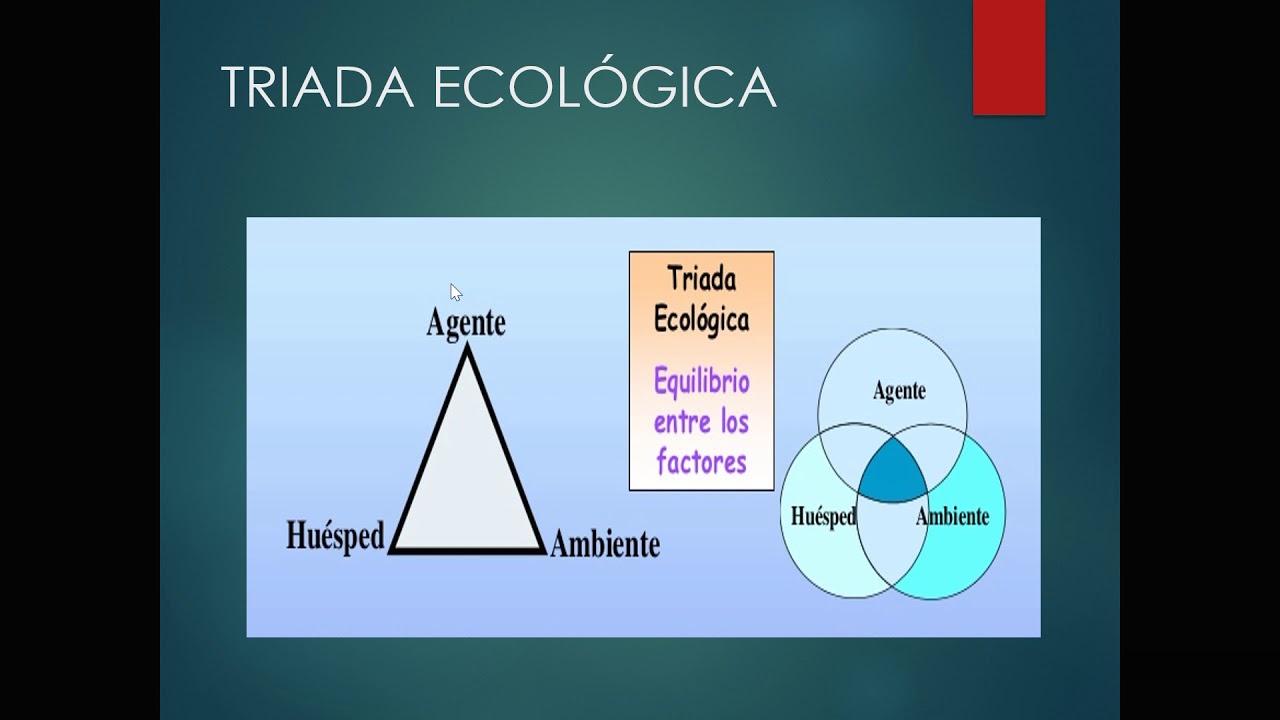 elementos que intervienen en el proceso salud enfermedad
