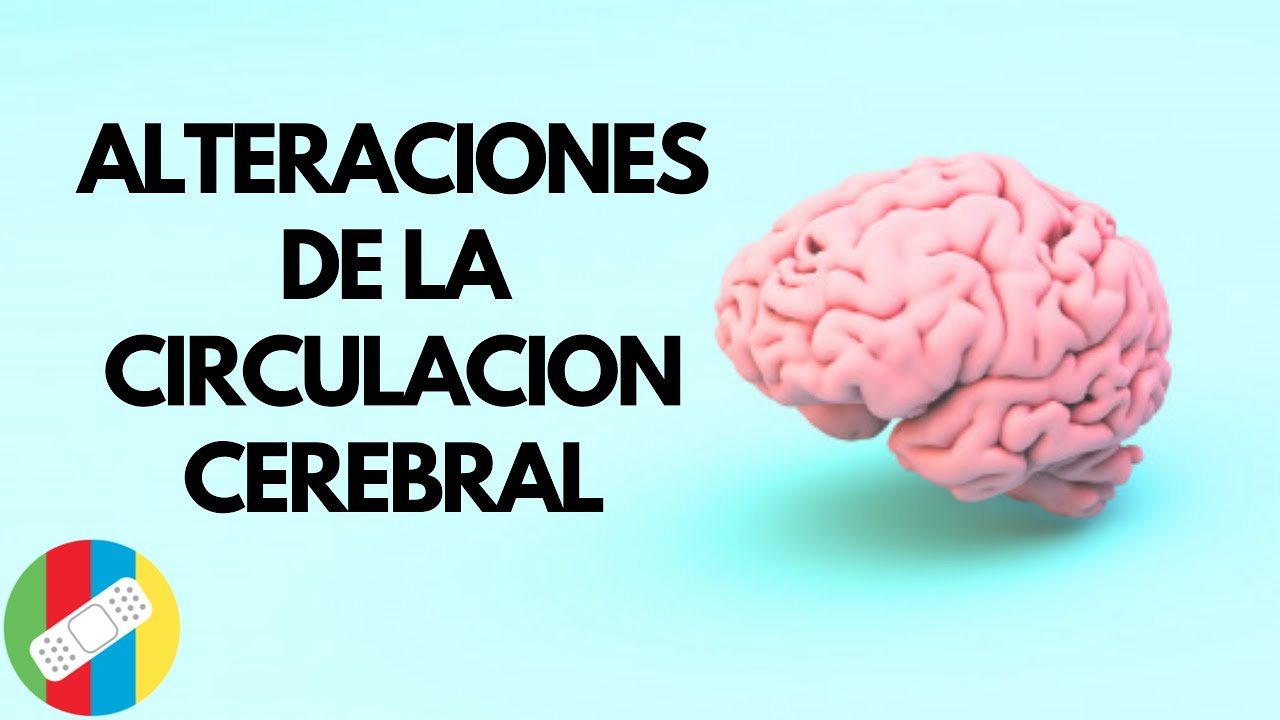 falta de riego sanguineo cerebral sintomas