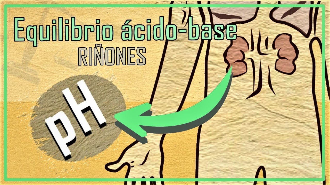 regulacion del ph en el riñon