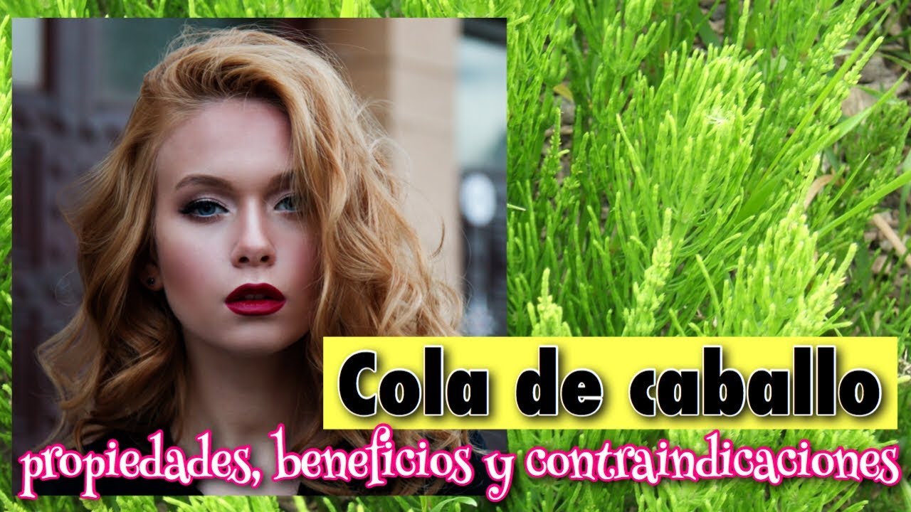 te cola de caballo efectos secundarios