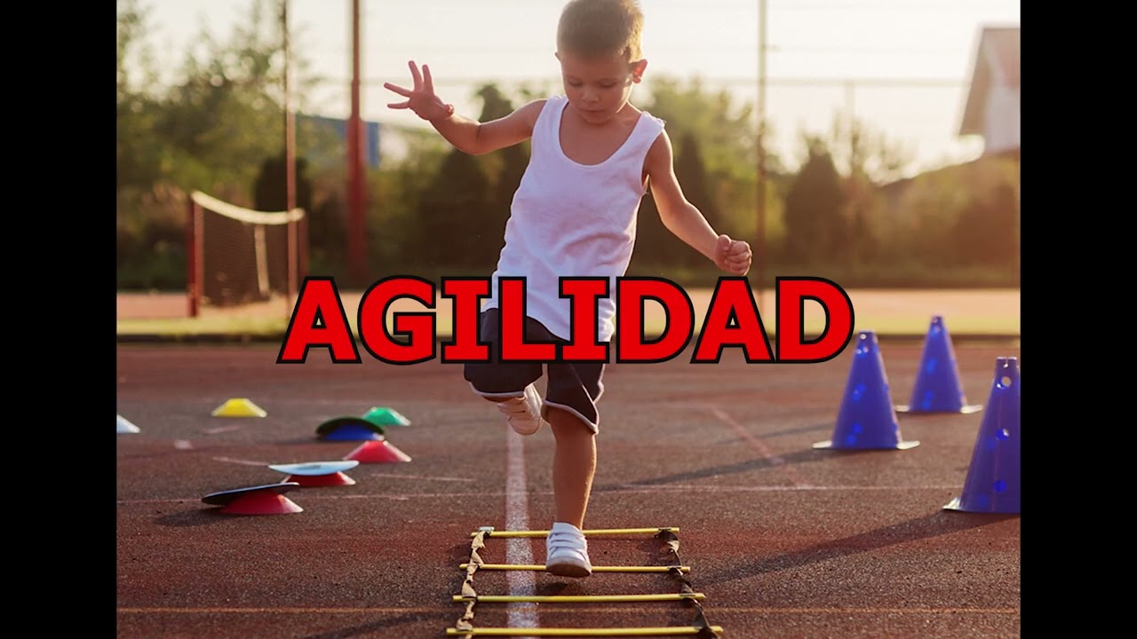 tipos de pruebas de aptitud fisica