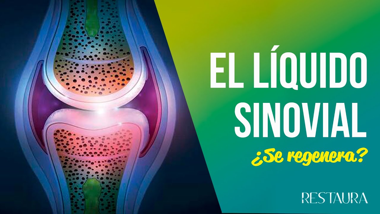 alimentos para recuperar el liquido sinovial