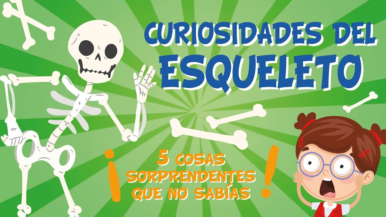 el hueso mas corto del cuerpo