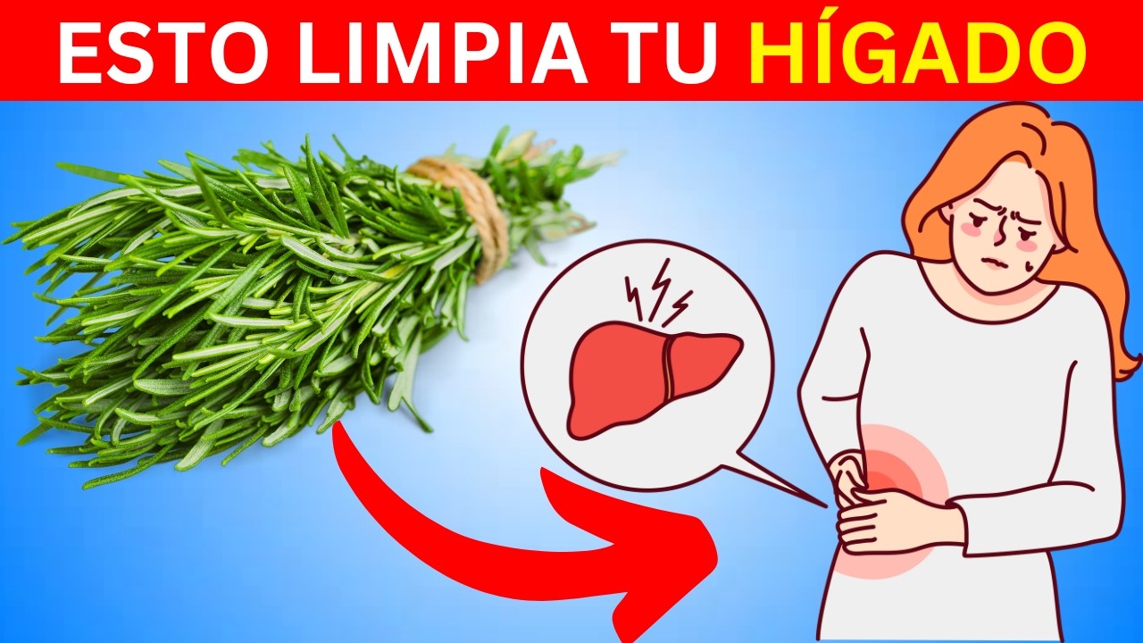 hierbas medicinales para el higado y pancreas